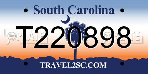 T220898 South Carolina License Plate