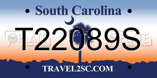 T22089S South Carolina License Plate