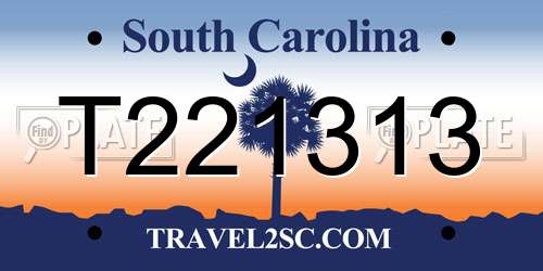 T221313 South Carolina License Plate