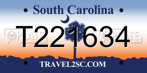 T221634 South Carolina License Plate