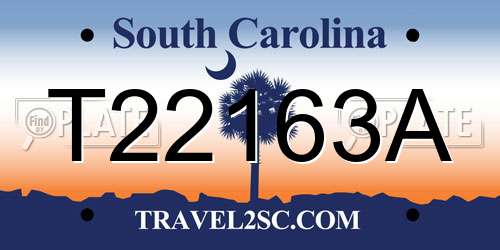 T22163A South Carolina License Plate