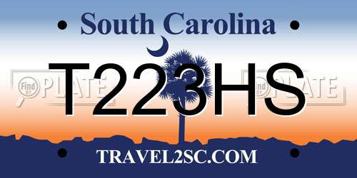 T223HS South Carolina License Plate