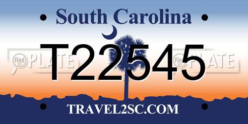 T22545 South Carolina License Plate