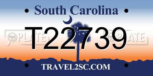 T22739 South Carolina License Plate