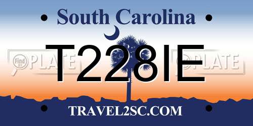 T228IE South Carolina License Plate