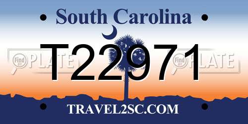 T22971 South Carolina License Plate