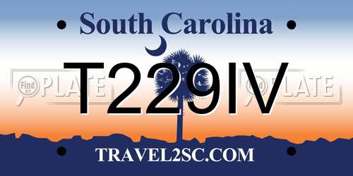 T229IV South Carolina License Plate