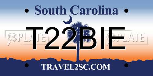 T22BIE South Carolina License Plate