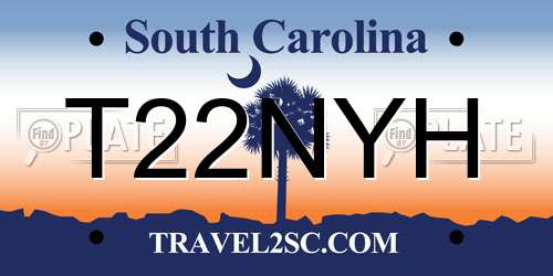 T22NYH South Carolina License Plate