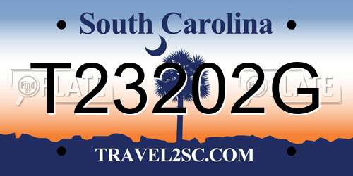 T23202G South Carolina License Plate