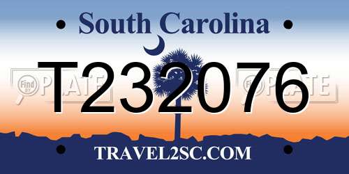 T232076 South Carolina License Plate