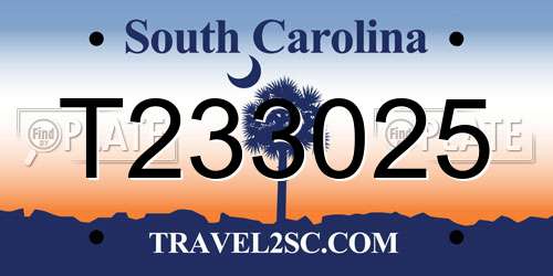 T233025 South Carolina License Plate