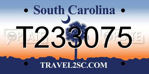 T233075 South Carolina License Plate