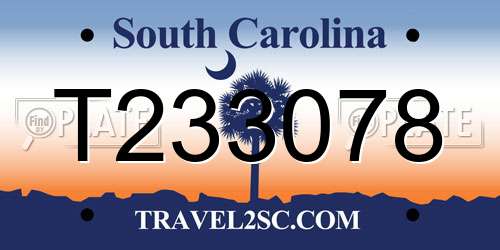 T233078 South Carolina License Plate