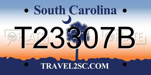 T23307B South Carolina License Plate