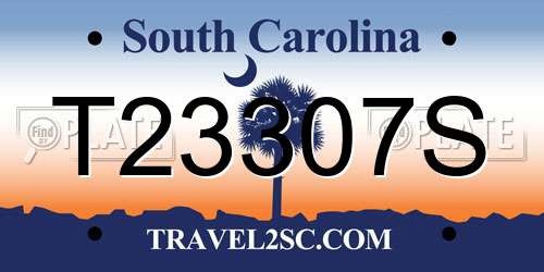 T23307S South Carolina License Plate
