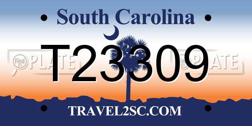 T23309 South Carolina License Plate