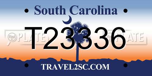 T23336 South Carolina License Plate