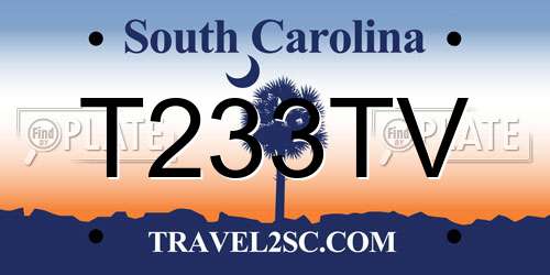 T233TV South Carolina License Plate
