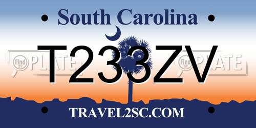 T233ZV South Carolina License Plate