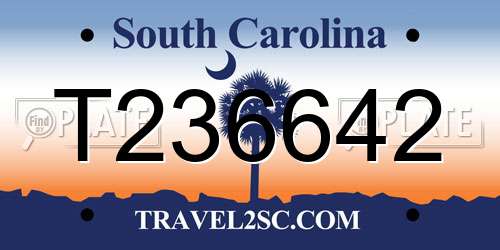 T236642 South Carolina License Plate