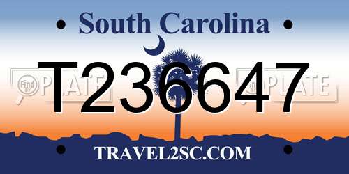 T236647 South Carolina License Plate