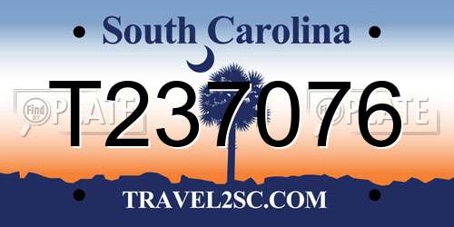 T237076 South Carolina License Plate