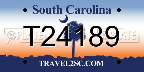 T24189 South Carolina License Plate