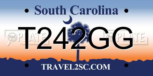 T242GG South Carolina License Plate