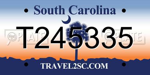 T245335 South Carolina License Plate