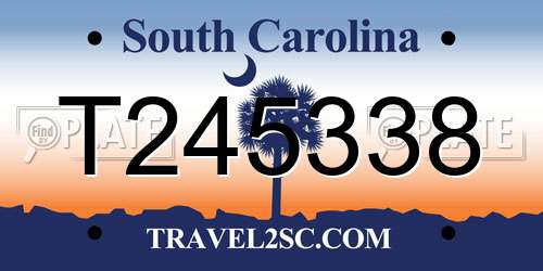 T245338 South Carolina License Plate