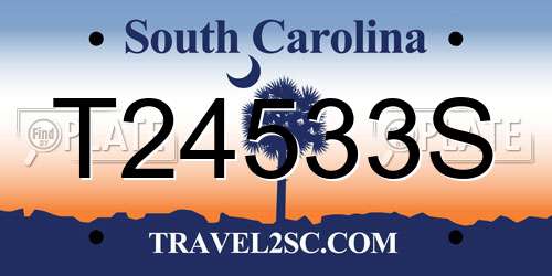 T24533S South Carolina License Plate