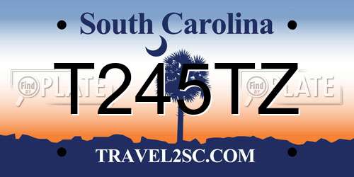 T245TZ South Carolina License Plate