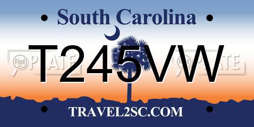 T245VW South Carolina License Plate