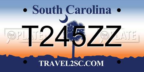 T245ZZ South Carolina License Plate