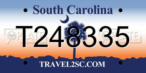 T248335 South Carolina License Plate