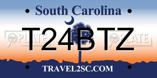 T24BTZ South Carolina License Plate