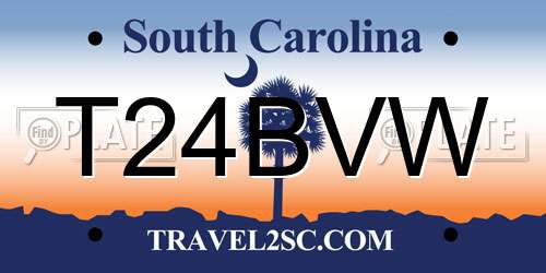 T24BVW South Carolina License Plate