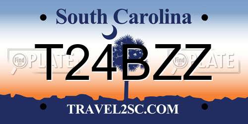 T24BZZ South Carolina License Plate