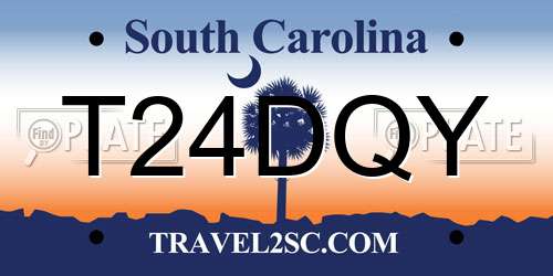 T24DQY South Carolina License Plate