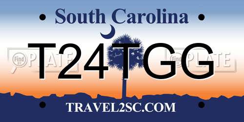 T24TGG South Carolina License Plate