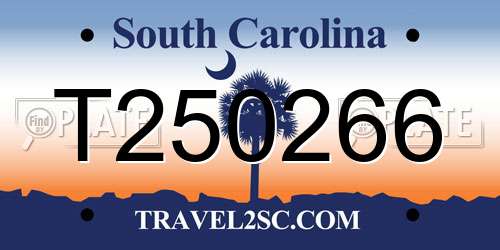 T250266 South Carolina License Plate