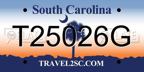 T25026G South Carolina License Plate