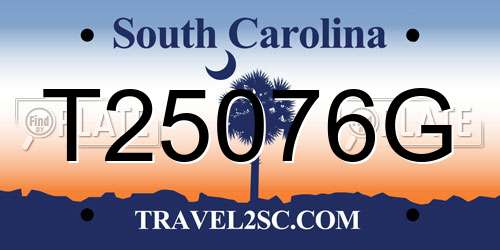 T25076G South Carolina License Plate
