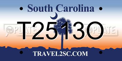 T2513O South Carolina License Plate