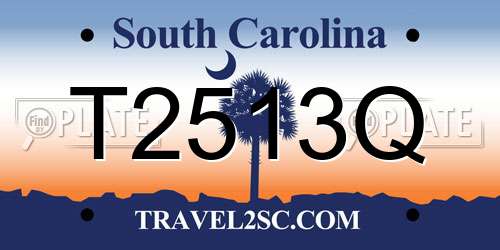 T2513Q South Carolina License Plate