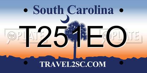 T251EO South Carolina License Plate