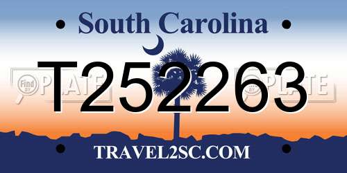 T252263 South Carolina License Plate