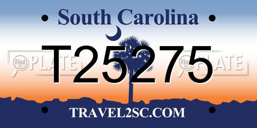 T25275 South Carolina License Plate
