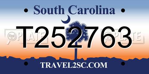 T252763 South Carolina License Plate